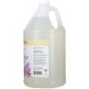 imageGinger Lily Farms Botanicals AllPurpose Foaming Hand Soap Refill 100 Vegan ampamp CrueltyFree Lavender Chamomile Scent 1 Gallon 128 Fl OzFragrance Free