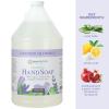 imageGinger Lily Farms Botanicals AllPurpose Foaming Hand Soap Refill 100 Vegan ampamp CrueltyFree Lavender Chamomile Scent 1 Gallon 128 Fl OzLavender Chamomile