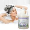 imageGinger Lily Farms Botanicals Moisturizing Shampoo for All Hair Types 100 Vegan ampamp CrueltyFree Lavender Chamomile Scent 1 Gallon Refill 128 fl oz128 Fl Oz Pack of 1