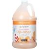 imageGinger Lily Farms Botanicals Moisturizing Shampoo for All Hair Types Coco Mango 100 Vegan ampamp CrueltyFree Coconut Mango Scent 1 Gallon 128 fl oz Refill128 Fl Oz Pack of 4