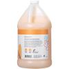 imageGinger Lily Farms Botanicals Moisturizing Shampoo for All Hair Types Coco Mango 100 Vegan ampamp CrueltyFree Coconut Mango Scent 1 Gallon 128 fl oz Refill128 Fl Oz Pack of 4
