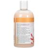 imageGinger Lily Farms Botanicals Moisturizing Shampoo for All Hair Types Coco Mango 100 Vegan ampamp CrueltyFree Coconut Mango Scent 1 Gallon 128 fl oz Refill12 Fl Oz Pack of 1
