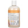 imageGinger Lily Farms Botanicals Nourishing Body Wash Coco Mango 100 Vegan ampamp CrueltyFree Coconut Mango Scent 12 Fl Oz Pack of 612 Ounce Pack of 1