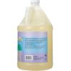 imageGinger Lily Farms Botanicals PlantBased Liquid Dish Soap Concentrated Formula with Max Grease Cleaning Power CrueltyFree Lavender Chamomile Scent 1 Gallon Refill 128 Fl Oz