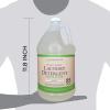 imageGinger Lily Farms Botanicals PlantBased Liquid Laundry Detergent Free ampamp Clear Concentrated Formula HE Compatible 85 Loads 1 Gallon 128 fl oz128 Fl Oz Pack of 1