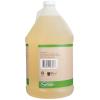 imageGinger Lily Farms Botanicals PlantBased Liquid Laundry Detergent Free ampamp Clear Concentrated Formula HE Compatible 85 Loads 1 Gallon 128 fl oz128 Fl Oz Pack of 1