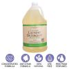 imageGinger Lily Farms Botanicals PlantBased Liquid Laundry Detergent Free ampamp Clear Concentrated Formula HE Compatible 85 Loads 1 Gallon 128 fl oz128 Fl Oz Pack of 1