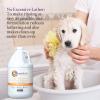 imageGinger Lily Farms Dog ampamp Pet Formula 2in1 Shampoo ampamp Conditioner 100 Vegan ampamp CrueltyFree Coco Mango 1 Gallon Refill 128 fl oz