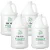 imageGinger Lily Farms Botanicals HEMP Herbal Moisturizing Conditioner Enriched with 100 Pure Natural Hemp Seed Oil 100 Vegan ampamp CrueltyFree 1 Gallon Refill4 Count Pack of 1