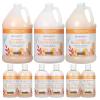 imageGinger Lily Farms Botanicals Hospitality Kit Coco Mango 9Pc Set Includes Shampoo Conditioner ampamp Body Wash 100 Vegan ampamp CrueltyFree Coconut Mango Scent