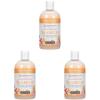 imageGinger Lily Farms Botanicals Moisturizing Shampoo for All Hair Types Coco Mango 100 Vegan ampamp CrueltyFree Coconut Mango Scent 1 Gallon 128 fl oz Refill12 Fl Oz Pack of 3
