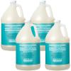 imageGinger Lily Farms Salon Formula 100 Pure Morocco Argan Oil Shampoo for All Hair Types 100 Vegan ampamp CrueltyFree 1 Gallon Refill Pack of 4128 Fl Oz Pack of 4