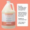 imageGinger Lily Farms Salon Formula FrizzFreeze Pro AntiFrizz Shampoo for Frizzy Hair 100 Vegan ampamp CrueltyFree 1 Gallon 128 fl oz Refill