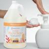 imageGinger Lily Farms Botanicals AllPurpose Foaming Hand Soap Refill 100 Vegan amp CrueltyFree Vanilla Sugar Bliss Scent 1 Gallon 128 fl ozCoco Mango