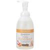 imageGinger Lily Farms Botanicals AllPurpose Foaming Hand Soap Refill 100 Vegan amp CrueltyFree Vanilla Sugar Bliss Scent 1 Gallon 128 fl ozCoco Mango