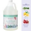 imageGinger Lily Farms Botanicals AllPurpose Foaming Hand Soap Refill 100 Vegan amp CrueltyFree Vanilla Sugar Bliss Scent 1 Gallon 128 fl ozEucalyptus Tranquility