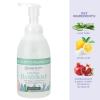 imageGinger Lily Farms Botanicals AllPurpose Foaming Hand Soap Refill 100 Vegan amp CrueltyFree Vanilla Sugar Bliss Scent 1 Gallon 128 fl ozEucalyptus Tranquility