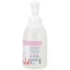 imageGinger Lily Farms Botanicals AllPurpose Foaming Hand Soap Refill 100 Vegan amp CrueltyFree Vanilla Sugar Bliss Scent 1 Gallon 128 fl ozVanilla Sugar Bliss