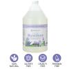 imageGinger Lily Farms Botanicals AllPurpose Foaming Hand Soap Refill Island Tranquility 100 Vegan amp CrueltyFree Green Tea Lemongrass Scent 20 Fl Oz Pack of 1Lavender Chamomile
