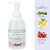 imageGinger Lily Farms Botanicals AllPurpose Foaming Hand Soap Refill Island Tranquility 100 Vegan amp CrueltyFree Green Tea Lemongrass Scent 20 Fl Oz Pack of 1Cucumber Mint Bliss