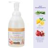 imageGinger Lily Farms Botanicals AllPurpose Foaming Hand Soap Refill Island Tranquility 100 Vegan amp CrueltyFree Green Tea Lemongrass Scent 20 Fl Oz Pack of 1Coco Mango