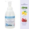 imageGinger Lily Farms Botanicals AllPurpose Foaming Hand Soap Refill Island Tranquility 100 Vegan amp CrueltyFree Green Tea Lemongrass Scent 20 Fl Oz Pack of 1Island Tranquility