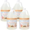 imageGinger Lily Farms Botanicals AllPurpose Foaming Hand Soap Refill Island Tranquility 100 Vegan amp CrueltyFree Green Tea Lemongrass Scent 20 Fl Oz Pack of 1Coco Mango