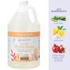 imageGinger Lily Farms Botanicals AllPurpose Foaming Hand Soap Refill Island Tranquility 100 Vegan amp CrueltyFree Green Tea Lemongrass Scent 20 Fl Oz Pack of 1Coco Mango