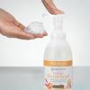imageGinger Lily Farms Botanicals AllPurpose Foaming Hand Soap Refill Island Tranquility 100 Vegan amp CrueltyFree Green Tea Lemongrass Scent 20 Fl Oz Pack of 1Coco Mango