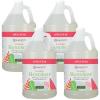 imageGinger Lily Farms Botanicals AllPurpose Foaming Hand Soap Refill Island Tranquility 100 Vegan amp CrueltyFree Green Tea Lemongrass Scent 20 Fl Oz Pack of 1Apple Pear