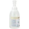 imageGinger Lily Farms Botanicals AllPurpose Foaming Hand Soap Refill Island Tranquility 100 Vegan amp CrueltyFree Green Tea Lemongrass Scent 20 Fl Oz Pack of 1Fragrance Free