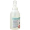 imageGinger Lily Farms Botanicals AllPurpose Foaming Hand Soap Refill Island Tranquility 100 Vegan amp CrueltyFree Green Tea Lemongrass Scent 20 Fl Oz Pack of 1Cucumber Mint Bliss