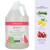 imageGinger Lily Farms Botanicals AllPurpose Foaming Hand Soap Refill Island Tranquility 100 Vegan amp CrueltyFree Green Tea Lemongrass Scent 20 Fl Oz Pack of 1Apple Pear