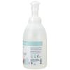 imageGinger Lily Farms Botanicals AllPurpose Foaming Hand Soap Refill Island Tranquility 100 Vegan amp CrueltyFree Green Tea Lemongrass Scent 20 Fl Oz Pack of 1Cucumber Mint Bliss