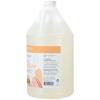 imageGinger Lily Farms Botanicals AllPurpose Foaming Hand Soap Refill Island Tranquility 100 Vegan amp CrueltyFree Green Tea Lemongrass Scent 20 Fl Oz Pack of 1Coco Mango