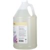 imageGinger Lily Farms Botanicals AllPurpose Foaming Hand Soap Refill Island Tranquility 100 Vegan amp CrueltyFree Green Tea Lemongrass Scent 20 Fl Oz Pack of 1Fragrance Free