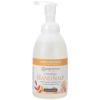 imageGinger Lily Farms Botanicals AllPurpose Foaming Hand Soap Refill 100 Vegan amp CrueltyFree Vanilla Sugar Bliss Scent 1 Gallon 128 fl ozCoco Mango