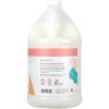 imageGinger Lily Farms Botanicals Moisturizing Shampoo for All Hair Types Champagne Mimosa 100 Vegan amp CrueltyFree Citrus Blend Scent 1 Gallon 128 fl oz RefillApple Pear