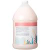 imageGinger Lily Farms Botanicals Moisturizing Shampoo for All Hair Types Champagne Mimosa 100 Vegan amp CrueltyFree Citrus Blend Scent 1 Gallon 128 fl oz RefillChampagne Mimosa