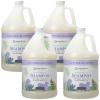 imageGinger Lily Farms Botanicals Moisturizing Shampoo for All Hair Types Champagne Mimosa 100 Vegan amp CrueltyFree Citrus Blend Scent 1 Gallon 128 fl oz RefillLavender Chamomile