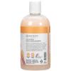 imageGinger Lily Farms Botanicals Moisturizing Shampoo for All Hair Types Champagne Mimosa 100 Vegan amp CrueltyFree Citrus Blend Scent 1 Gallon 128 fl oz RefillCoco Mango
