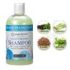 imageGinger Lily Farms Botanicals Moisturizing Shampoo for All Hair Types Champagne Mimosa 100 Vegan amp CrueltyFree Citrus Blend Scent 1 Gallon 128 fl oz RefillIsland Tranquility
