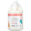 imageGinger Lily Farms Botanicals Moisturizing Shampoo for All Hair Types Champagne Mimosa 100 Vegan amp CrueltyFree Citrus Blend Scent 1 Gallon 128 fl oz RefillApple Pear