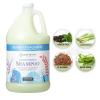imageGinger Lily Farms Botanicals Moisturizing Shampoo for All Hair Types Champagne Mimosa 100 Vegan amp CrueltyFree Citrus Blend Scent 1 Gallon 128 fl oz RefillIsland Tranquility