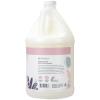 imageGinger Lily Farms Botanicals Moisturizing Shampoo for All Hair Types Champagne Mimosa 100 Vegan amp CrueltyFree Citrus Blend Scent 1 Gallon 128 fl oz RefillWhispering Rose