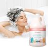 imageGinger Lily Farms Botanicals Moisturizing Shampoo for All Hair Types Champagne Mimosa 100 Vegan amp CrueltyFree Citrus Blend Scent 1 Gallon 128 fl oz RefillChampagne Mimosa