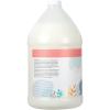 imageGinger Lily Farms Botanicals Moisturizing Shampoo for All Hair Types Champagne Mimosa 100 Vegan amp CrueltyFree Citrus Blend Scent 1 Gallon 128 fl oz RefillApple Pear