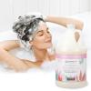 imageGinger Lily Farms Botanicals Moisturizing Shampoo for All Hair Types Champagne Mimosa 100 Vegan amp CrueltyFree Citrus Blend Scent 1 Gallon 128 fl oz RefillVanilla Sugar Bliss