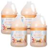 imageGinger Lily Farms Botanicals Moisturizing Shampoo for All Hair Types Champagne Mimosa 100 Vegan amp CrueltyFree Citrus Blend Scent 1 Gallon 128 fl oz RefillCoco Mango