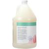 imageGinger Lily Farms Botanicals Moisturizing Shampoo for All Hair Types Champagne Mimosa 100 Vegan amp CrueltyFree Citrus Blend Scent 1 Gallon 128 fl oz RefillEucalyptus Tranquility